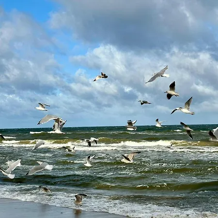 Hus - Caloroczne Komfortowe Szeregi Blisko Plazy *