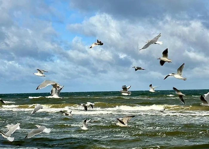 Hus - Caloroczne Komfortowe Szeregi Blisko Plazy *